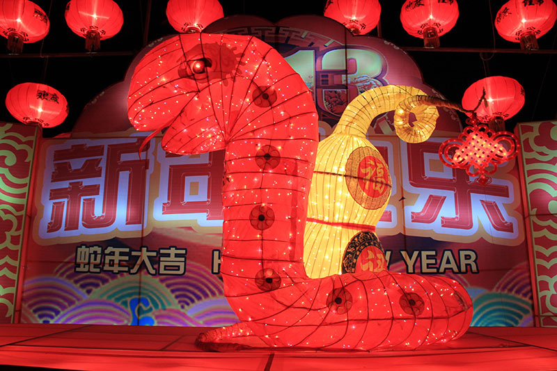 Year of the Snake Lantern